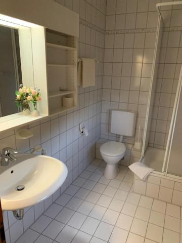 椽木酒店 Neckartenzlingen 外观 照片